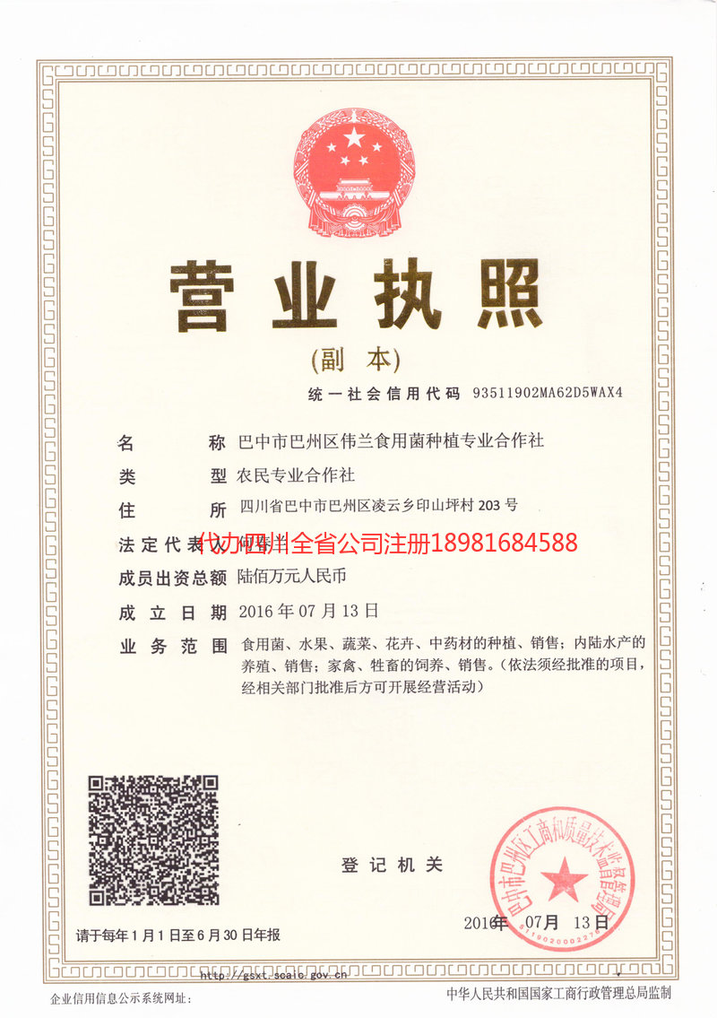 宜宾宜宾伟兰食用菌种植专业合作社